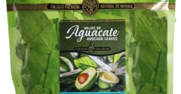 Hierba Natural de Mexico Hojas Aguacate Bajar Peso