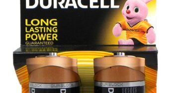 Bateria Duracell D