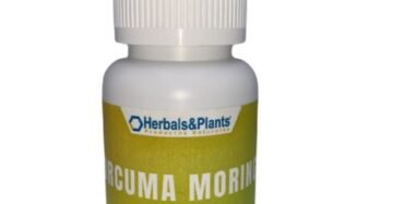 Cápsulas H&P Curcuma Moringa Curcumino 20%