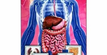 Tabletas Natural de Mexico Desintoxicador organos