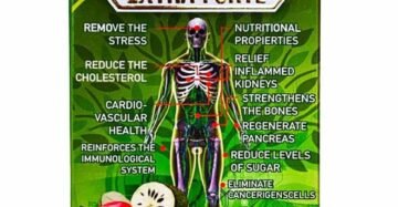 Cápsulas Natural de Mexico Moringa Extra Forte 7AntioxidanTes