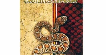 Cápsulas Natural de Mexico Vibora Cascabel