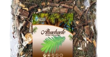 Hierba Natural de Mexico Ahuehuete