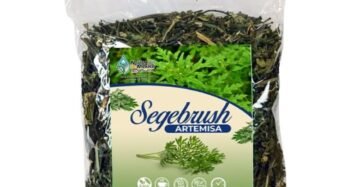 Hierba Natural de Mexico Artemisa