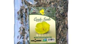 Hierba Natural de Mexico Cardo Santo