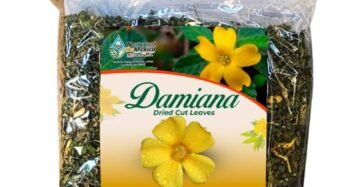 Hierba Natural de Mexico Damiana
