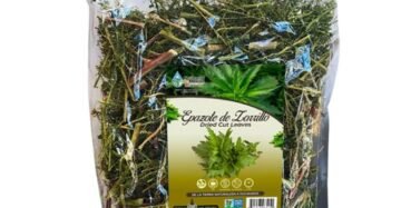 Hierba Natural de Mexico Epazote Zorrillo