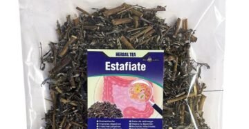 Hierba Natural de Mexico Estafiate