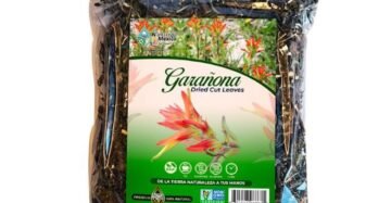 Hierba Natural de Mexico Garañona