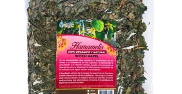 Hierba Natural de Mexico Hamamelis