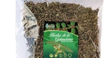 Hierba Natural de Mexico Hierba Golondrina