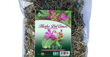 Hierba Natural de Mexico Hierba Cancer