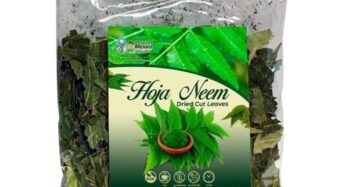 Hierba Natural de Mexico Hoja Neem