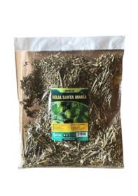 Hierba Natural de Mexico Hoja Santa Maria