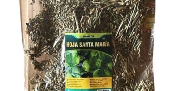Hierba Natural de Mexico Hoja Santa Maria