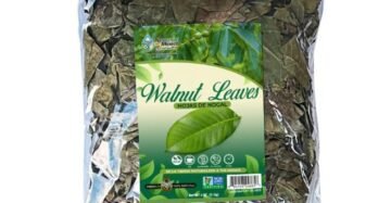 Hierba Natural de Mexico Hojas Nogal