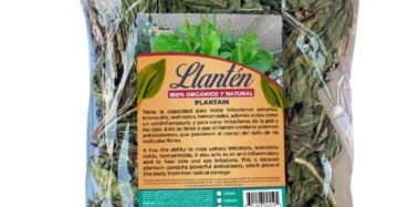 Hierba Natural de Mexico Llanten