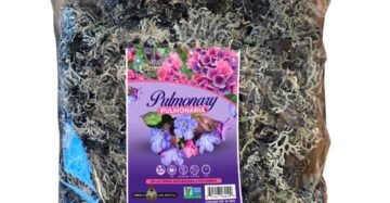 Hierba Natural de Mexico Pulmonaria