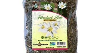 Hierba Natural de Mexico Sanguinaria