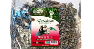 Hierba Natural de Mexico Tlachichinole