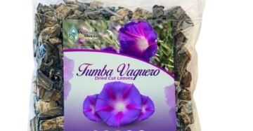 Hierba Natural de Mexico Tumba Vaquero