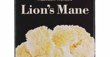 Té Bravo MW Lions Mane