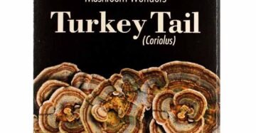 Té Bravo MW Turkey Tail