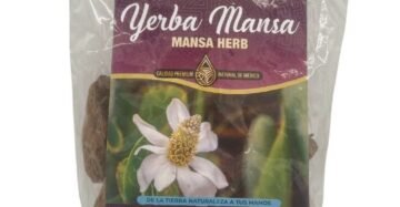 Hierba Natural de Mexico Yerba Mansa