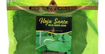 Hierba Natural de Mexico Hoja Santa