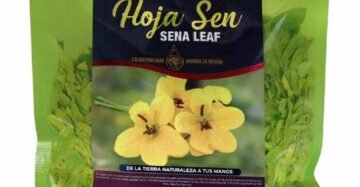 Hierba Natural de Mexico Hoja Sen