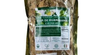 Hojas de Guanábana (Graviola) 8oz / 226g